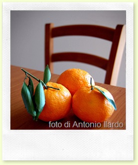 foto di Antonio Ilardo