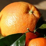 Oli davvero essenziali: arancio dolce